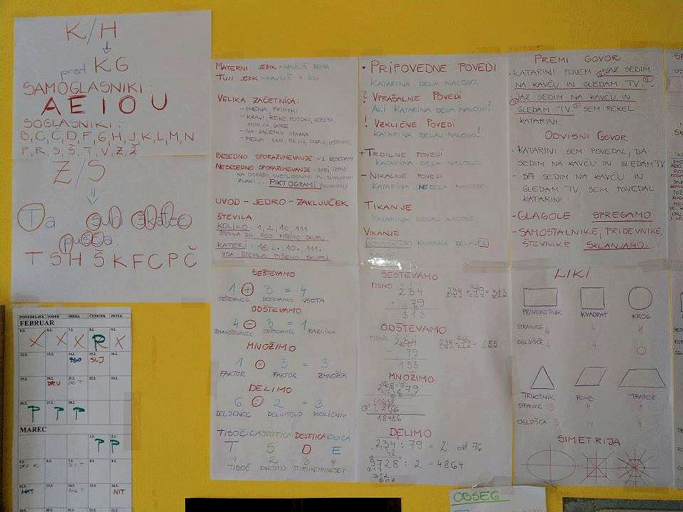 “V današnjem šolskem sistemu se učijo veliko neumnosti in balasta”, pravi Alenka